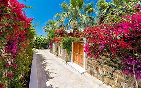 Porto Zante Villas And Spa